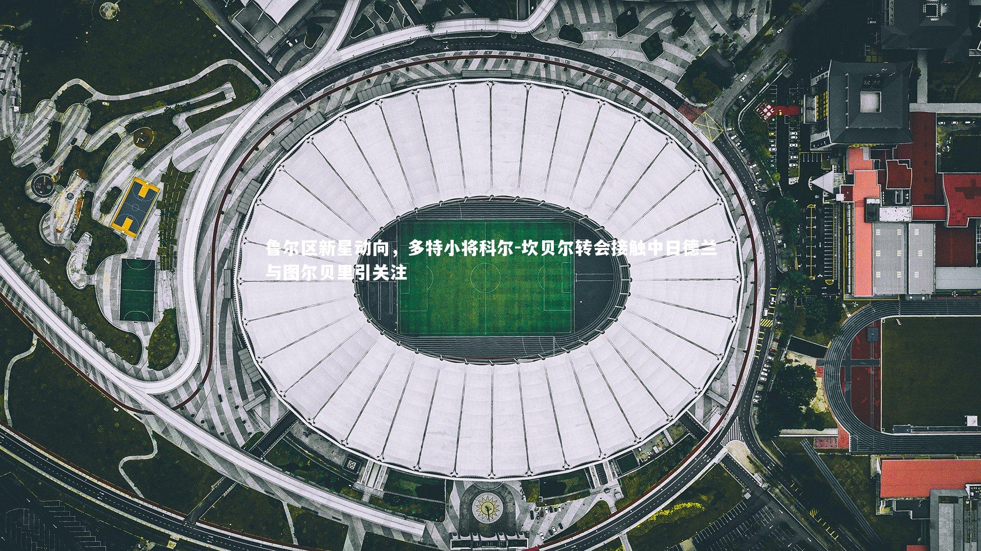 ng体育官网：鲁尔区新星动向，多特小将科尔-坎贝尔转会接触中日德兰与图尔贝里引关注